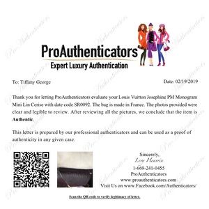 Louis Vuitton Josephine PM